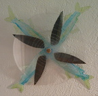 HELICE ou les amours de poissons volant