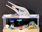 Merdouille de mer